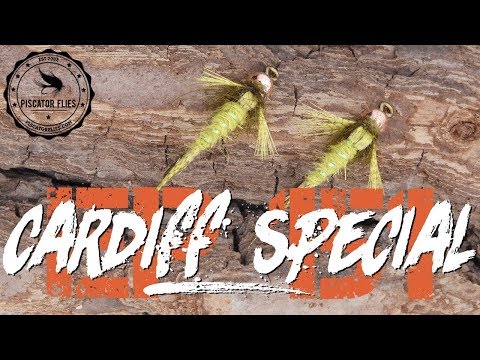 Cardiff Special Nymph