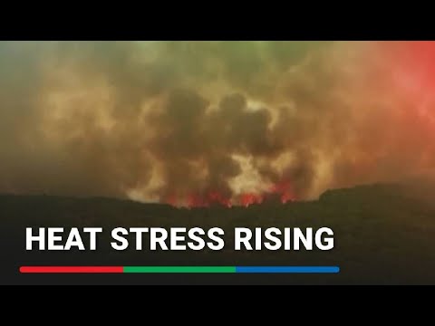 Health-harming heat stress rising in Europe, scientists say ABS-CBN News