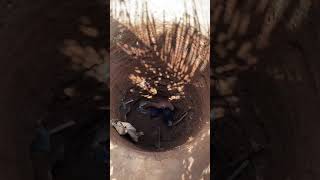 Download lagu BIKIN SUMUR #shorts mp3