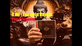 Video Petr Priessnitz 4. díl -Lucrezia Borgia (Autorské CD)