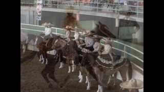 Grupo Laberinto- Venganza Divina.wmv