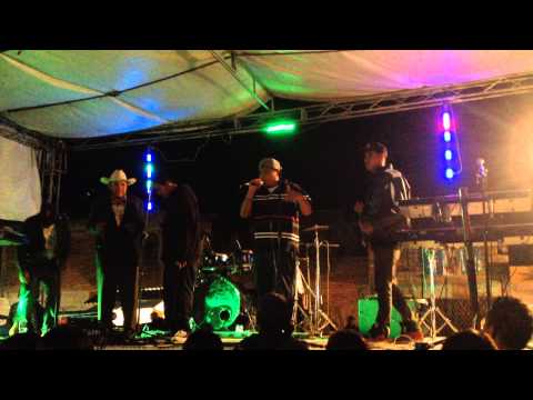 Mikrobarato - Plasmando La Hache En Vivo (Santa Cecilia, La Barca Jalisco  2014) ᴴᴰ