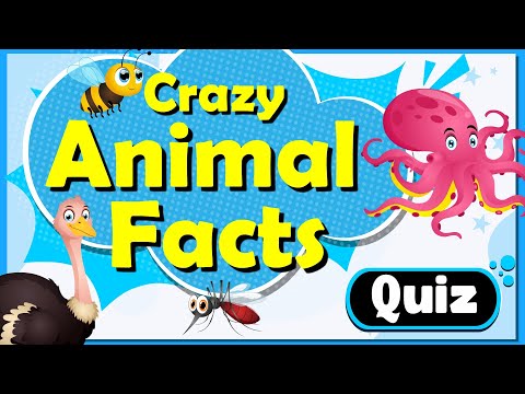 The Ultimate Animal Facts Quiz for Kids | Discover Mind-Blowing Animal Facts with Fun Animations!