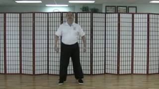 White Crane Qigong--Soothe the Lung Gong