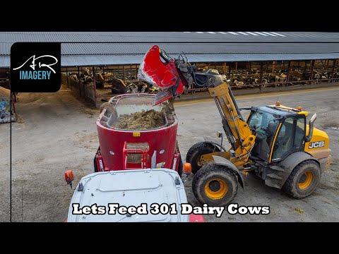 Lets Feed 301 Dairy Cows at Crosshead Farms