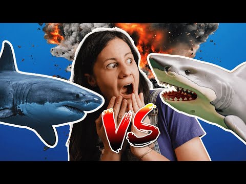 ROBOT Shark VS REAL Shark!
