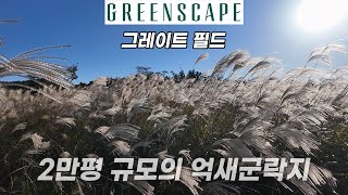 2만평 규모의 억새군락지와 새별오름이 있는 제주 관광 명소 - 그린스케이프 그레이트 필드 투어