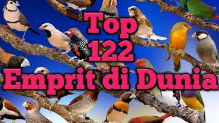 Download lagu 122 jenis burung Finch/Emprit di Dunia mp3 Download lagu 122 jenis burung Finch/Emprit di Dunia mp3
