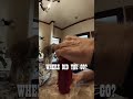 Dog Water