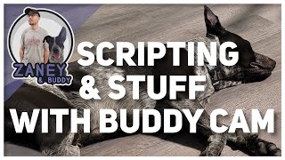 We Continue Work On My Scripts!