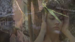 Phét Phét Phét – “Shimmer”