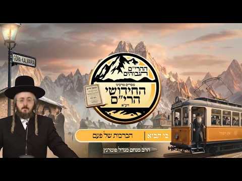 ההרים הגבוהים - חידושי הרי"ם - כי תבוא תשפ"ו