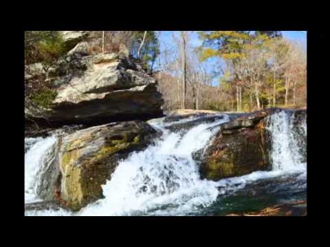 Turkey Creek Nature Preserve - Haitham Tawfik