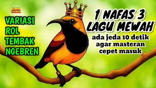 Download lagu ROL TEMBAK NGEBREN‼️ Masteran sogon full isian mewah mp3 Download lagu ROL TEMBAK NGEBREN‼️ Masteran sogon full isian mewah mp3