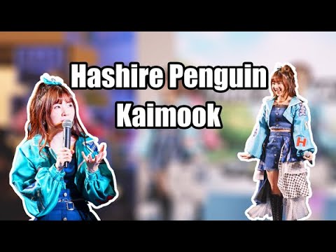 [ Kaimook Fancam 4K50p ] BNK48 Hashire Penguin 2020-12-13 @ Toyota Best Day Central Plaza Khonkaen