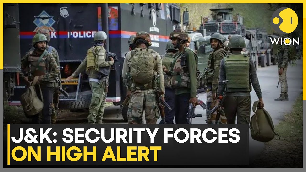 J&K: Multiple Drone Sightings Near IB & LoC, High Vigilance Along International Border | WION