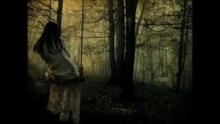 Perth - Bon Iver with Lyrics