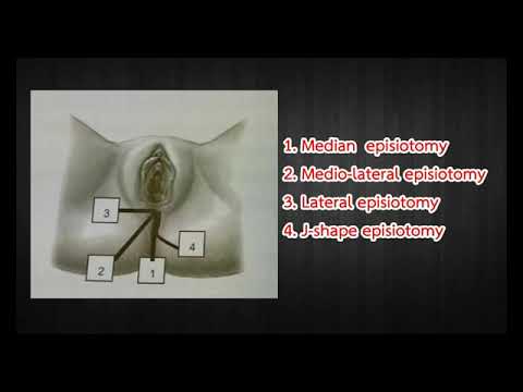 รูปภาพ ดาวโหลด Google Youtube SEO