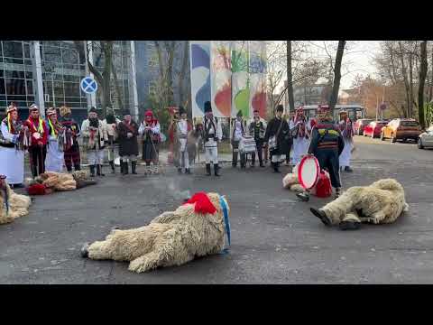 Ansamblul Folcloric „Străjerii” din Suceava – Jocul ursului în curtea TVR