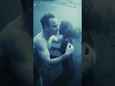 Dive In
