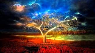 High Tone - Wahqam Saba