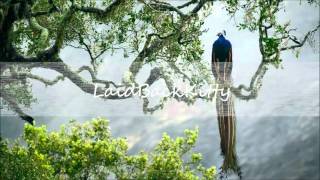 COMA - The Wind (feat. Dillon)