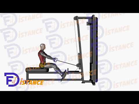 Exercice Rowing assis à la machine