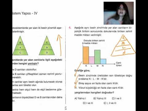 Stressz alapú potencia gondok megoldása 3 rövid lépésben Befolyásolja-e a nyomás az erekciót