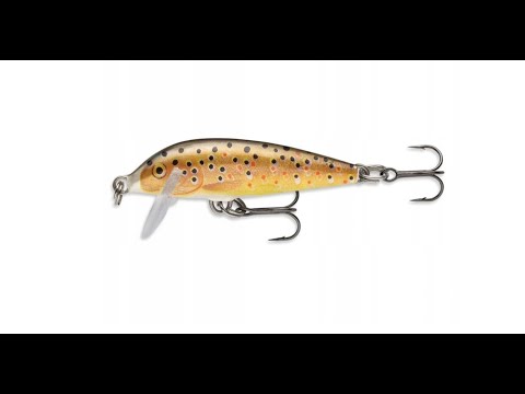 Wobler Rapala Floating F05 TR, Brown Trout
