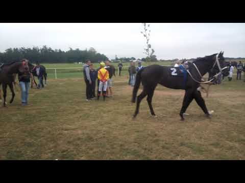 Padok pred MACVANSKI DERBY