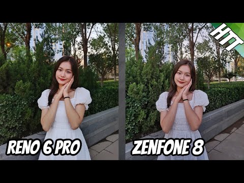 Oppo Reno 6 Pro vs Asus Zenfone 8 Camera Comparison