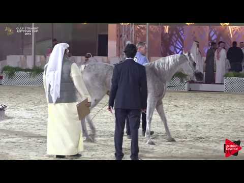 N.107 HAIFA AL KHALEDIAH II - Gulf SE Cup 2018