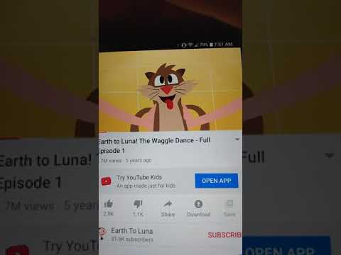 earth to luna the waggle dance