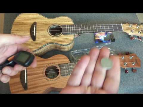 Zebrawood Body 23 inch Concert Ukulele with Ukulele Set Tuner Strap Nylon Strings image 12