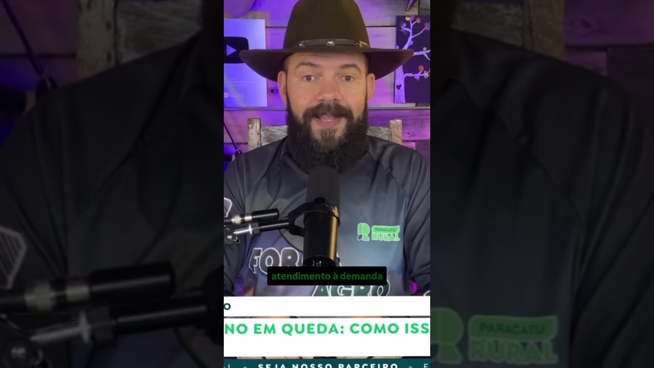 Soja: Por que os preços pararam de subir?