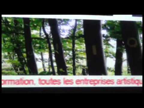 Vignette vidéo 2