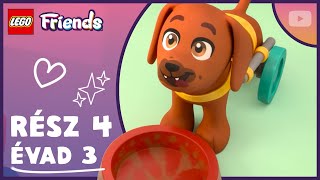 Ubi 🐶 kedvenc új kajája 😋 | 3. évad 4. rész | Teljes epizód | LEGO Friends: A következő fejezet