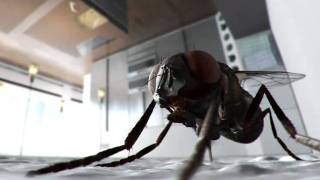 Susan Ashton - Walk On