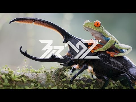 Doug Meadows - All I Know (ft. Amy Kirkpatrick)