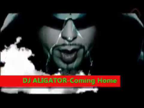 DJ Aligator - Coming home-remix
