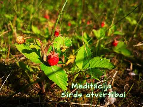 Meditācija sirds atvērtībai