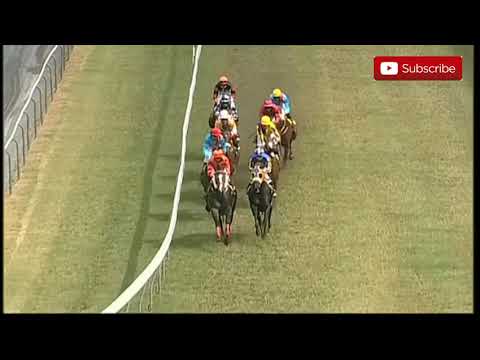 28 NOV 2020| PRINCE OF PERSIA| A. AUCHARUZ