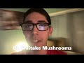 Oh Shiitake Mushrooms Intro 2021