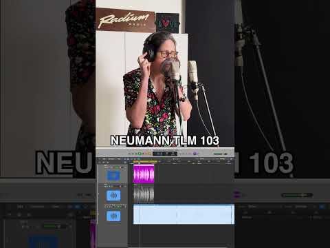 $30 Temu mic vs $1,200 Neumann - can you hear the difference? The truth about premium audio gear 🎤