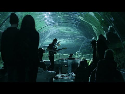 Brokenchord - 'When You Sleep' // 'Transmission' Live