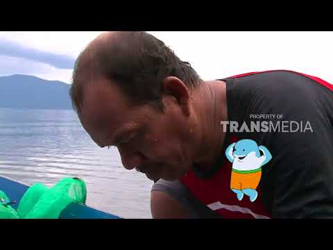 SI CANTIK DARI DANAU PURBA | DUNIA BINATANG (19/10/17) 3-2