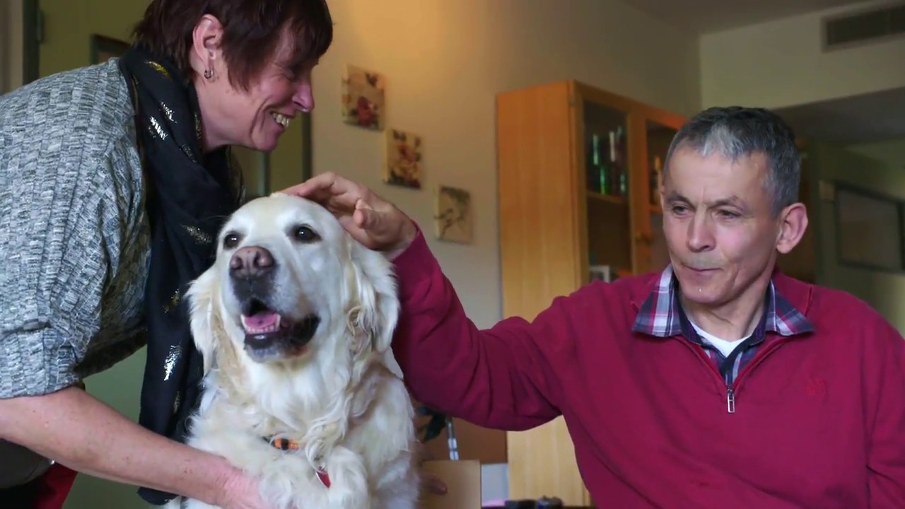 Clinidogs videotestimonial aLBot & aLBot