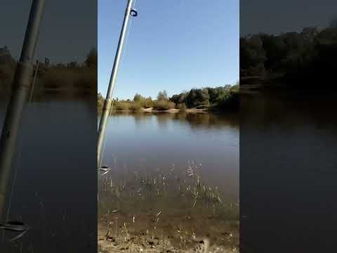 pesca en paso viejo durazno Uruguay