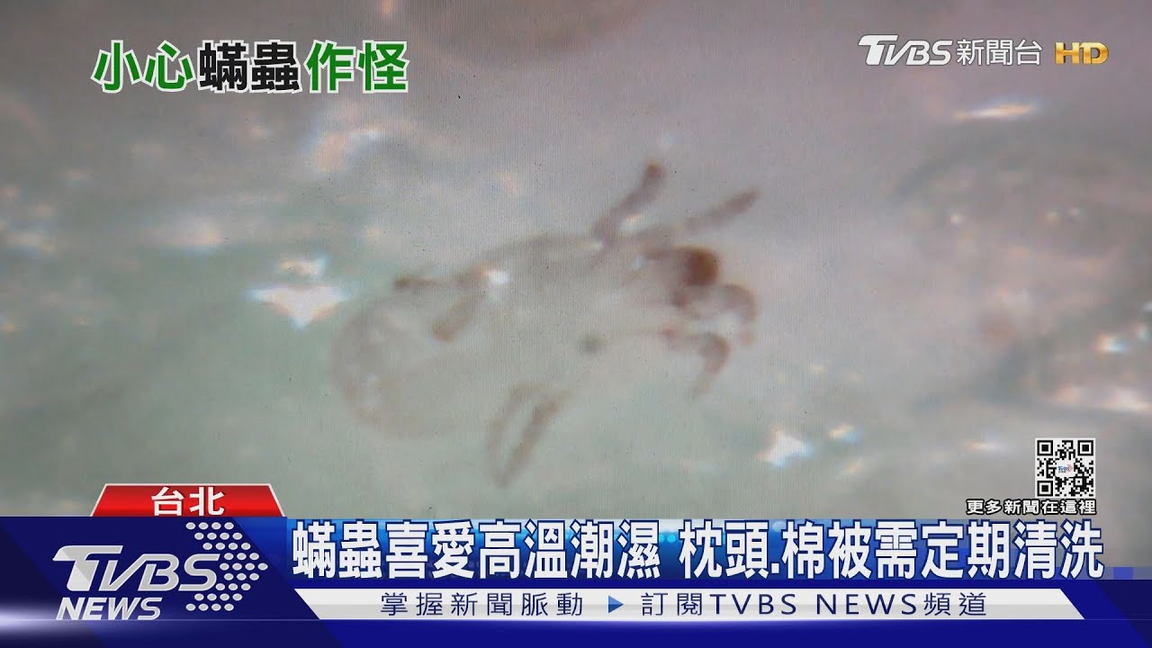 當心!吃煎餅發生過敏性休克 竟是「蟎」惹的禍