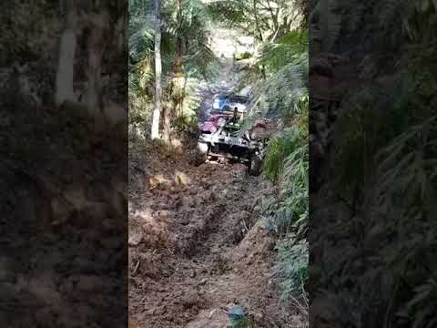 Trilha em lontras sc